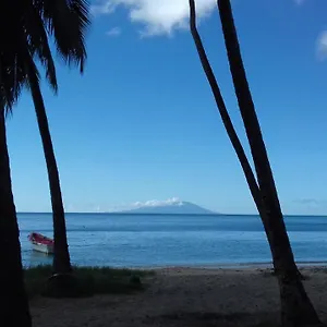 Palm View Homestay